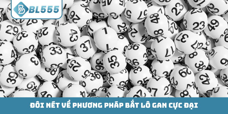 Đôi nét về phương pháp bắt lô gan cực đại